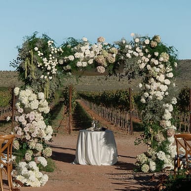 Lush chuppah sits on grounds of Los Milics Vineyards in outdoor ceremony