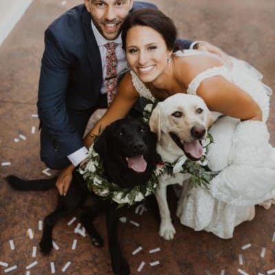 field/image/Quinn_Dogs.jpg