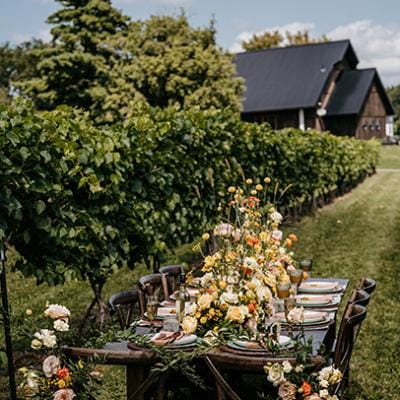 field/image/Minnesota Bride Winery Style shoot 3.jpg