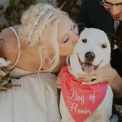 field/image/Minnesota Bride Becca's Pet Care 2023.jpg