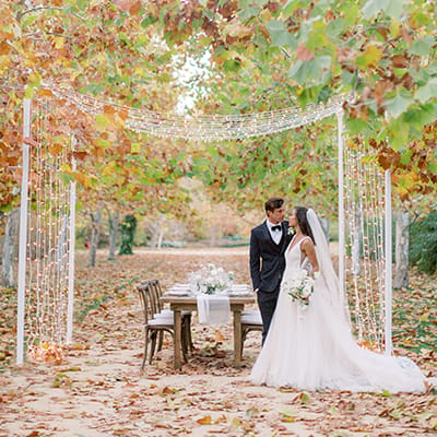 Danielle Bacon Photography 