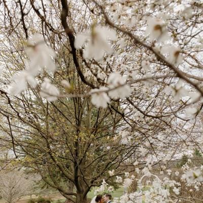 Bride and groom share a kiss framed by natural blossoms
