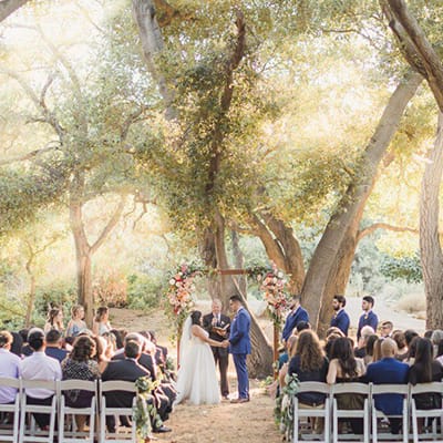 Sun & Sparrow Photography