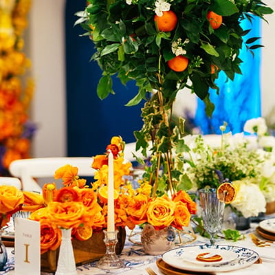 Into Dust Photography with Seattle Stunning Events