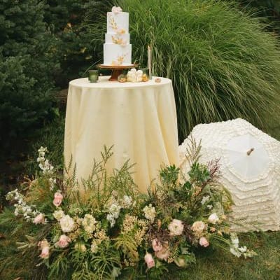 field/image/WashingtonWeddingDaySPring-mylaliphotos-245.jpg