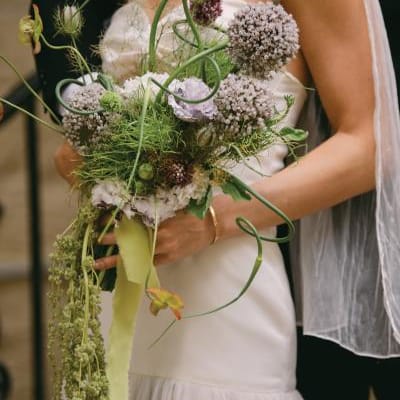 field/image/_0281.jpg
