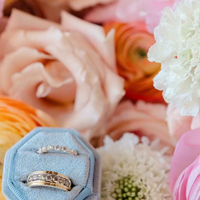 Craig Petermen Photography & Videography
