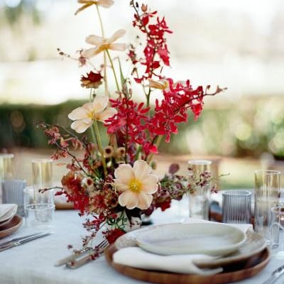 field/image/FILM-74.jpg