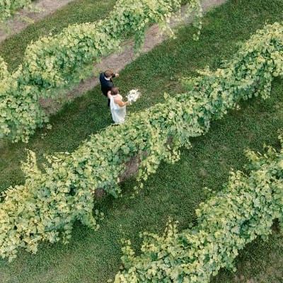 Aerial view of bride and groom walking through the grounds of  7 Vines Vineyard