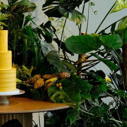 Bold, mango-hued tiered cake surrounded by lush verdure in imagined wedding day 