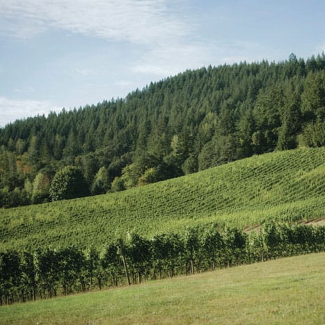 field/image/ellen_20080823_10602.jpg