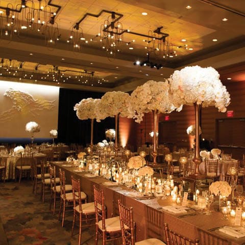field/sandboxmnbridecom239elwb01blackmeshcom/2018/image/Loews Minneapolis Hotel _ Weddings - 1.jpg