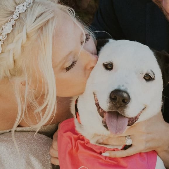 Minnesota Bride Beccas Petcare Dog Attendant 2023.jpg