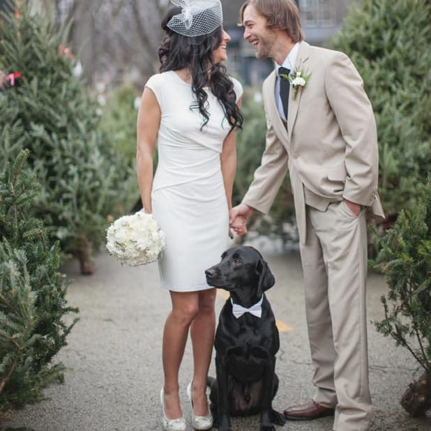 field/image/Wisconsin-Bride-BonVoyage.jpg
