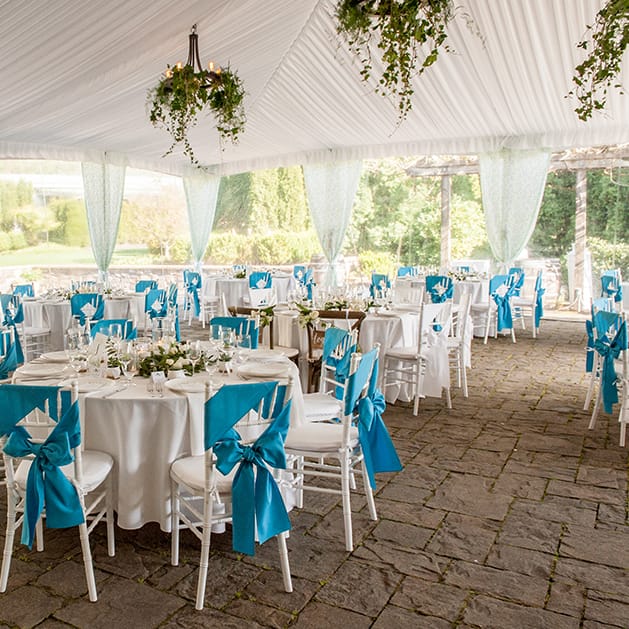 field/seattlebridemagcom239elwb01blackmeshcom/2018/image/180422_0602_HARROLD cropped.jpg