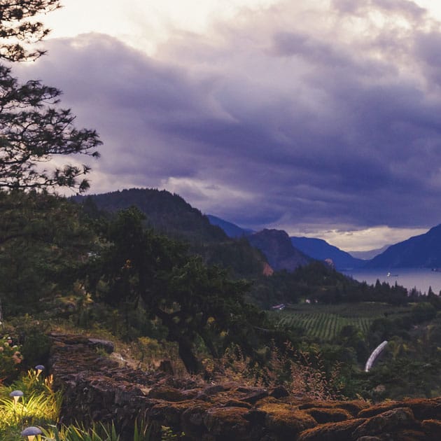 Tie the knot at one of these six majestic lodges, offering stunning riverside views, mountain top highs and wooded luxury