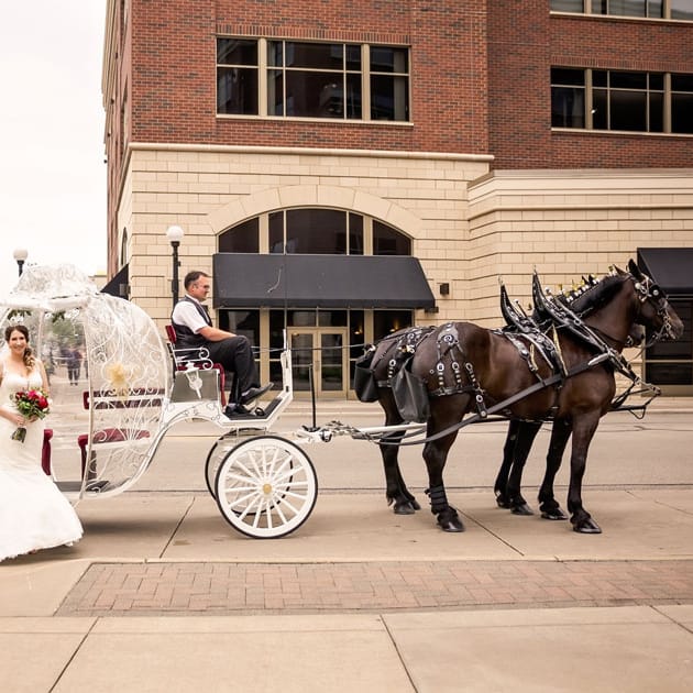 Couple celebrates their day, complete with horse and carriage, tiara and custom wine