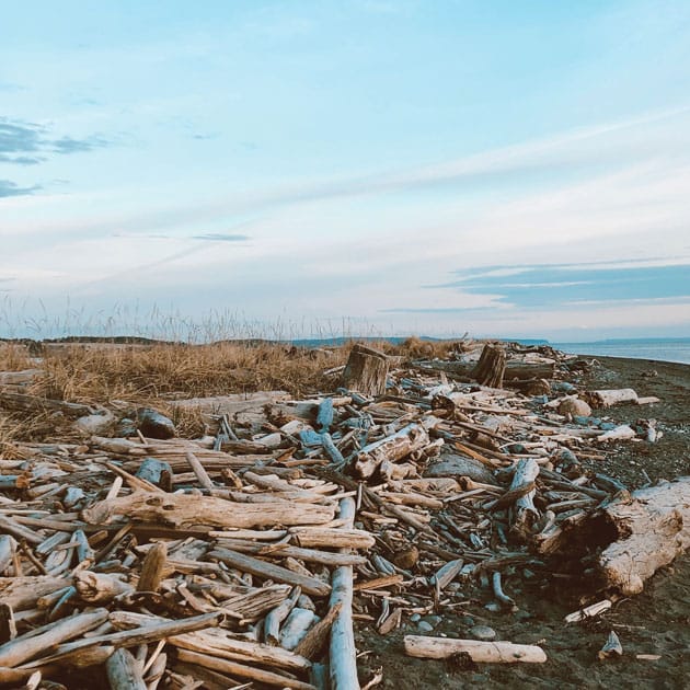 Meraki Narrative