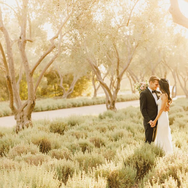 field/sandbox_californiaweddingday_com_239elwb01_blackmesh_com/2019/image/176b.jpg