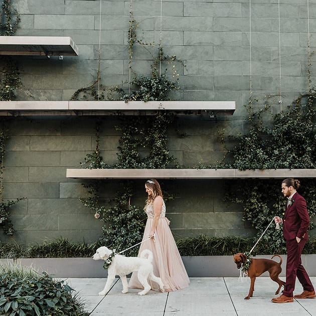 dog-friendly wedding ceremony