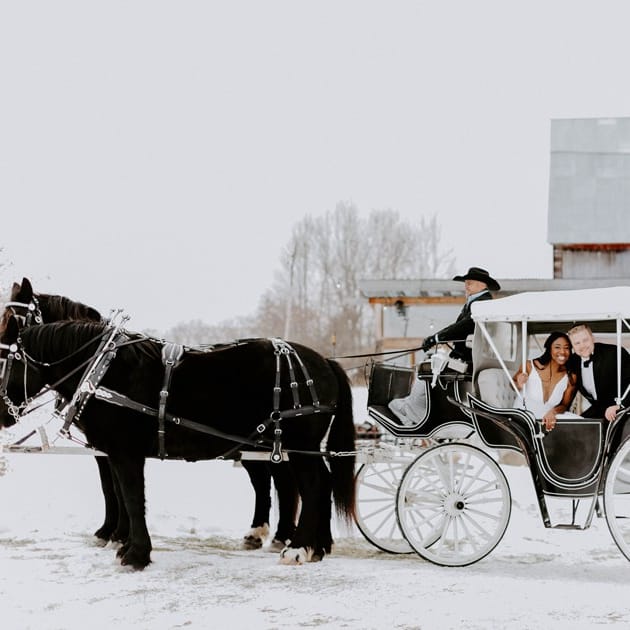 field/wibride_com_239elwb01_blackmesh_com/2021/image/2021-12-02_0012.jpg