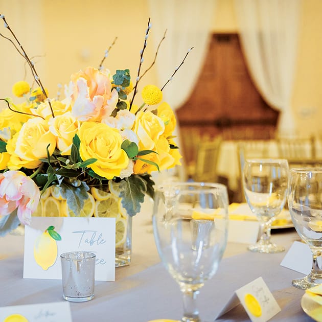 field/neweddingday_com/2022/image/styled omaha_NWD_SS2202.jpg