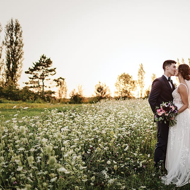 field/wibride_com_239elwb01_blackmesh_com/2022/image/newlywed6_WIB_fw2201.jpg