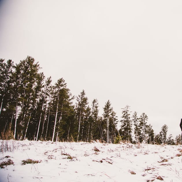 Winter Wedding in Brainerd Minnesota