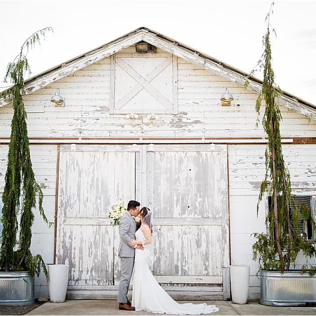 Salt & Pine Photography