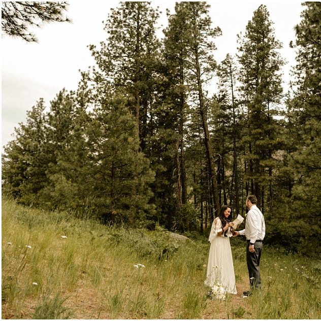 field/seattlebridemag_com_239elwb01_blackmesh_com/2020/image/2020-11-17_0001.jpg