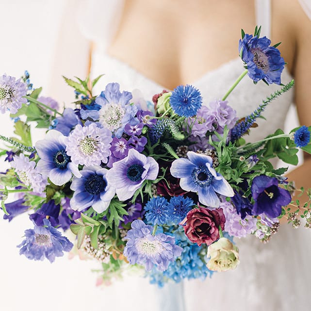 field/seattlebridemagcom239elwb01blackmeshcom/2022/image/port_seb_fw2205.jpeg