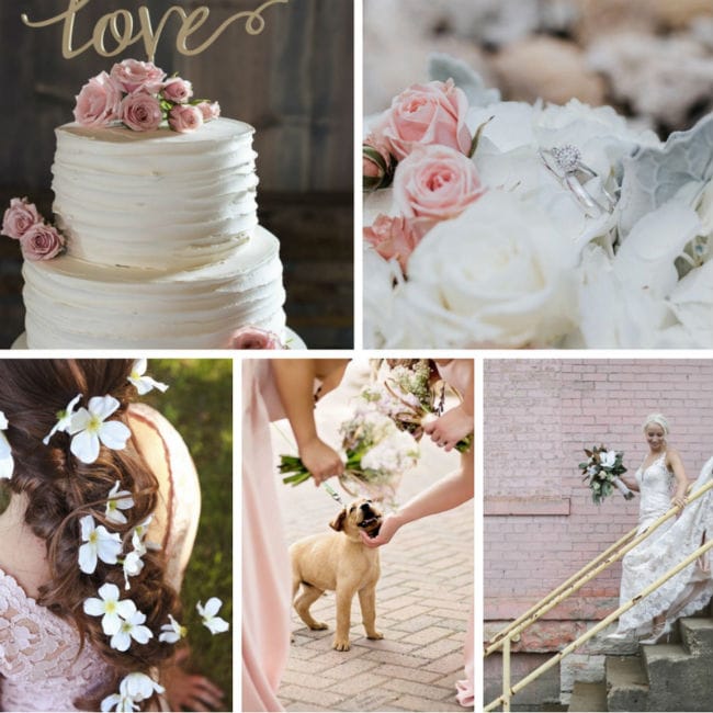field/seattlebridemagcom239elwb01blackmeshcom/image/Copy_of_WI_6.jpg
