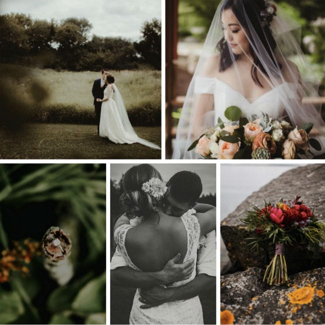 field/seattlebridemagcom239elwb01blackmeshcom/image/WI_8.25.17_insta.jpg