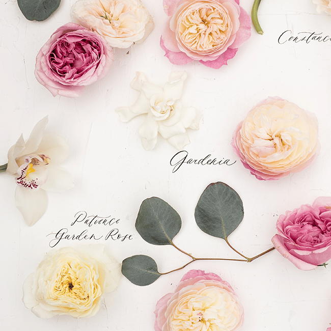 field/sandbox_mnbride_com_239elwb01_blackmesh_com/2018/image/HeirloomBouquet-Mary-4a cropped.png