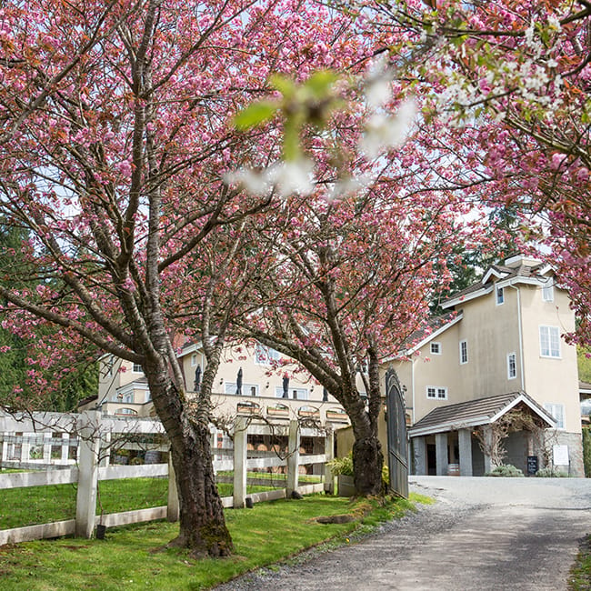 field/seattlebridemag_com_239elwb01_blackmesh_com/2018/image/180422_0003_HARROLD cropped.jpg