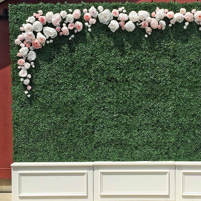 field/sandboxmnbridecom239elwb01blackmeshcom/image/3_walls_crepe_paper_flowers_0.jpg