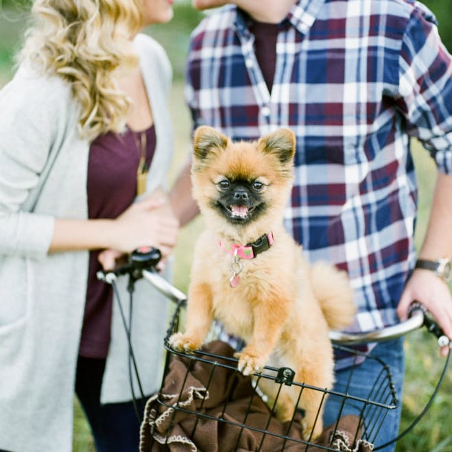 field/sandboxmnbridecom239elwb01blackmeshcom/image/2016_M&J_SilverwoodPark_MN_Engagement_CarlyMilbrath_114.jpg