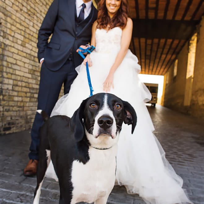 field/image/FRPhoto_131130_WI_Bride_018.jpg