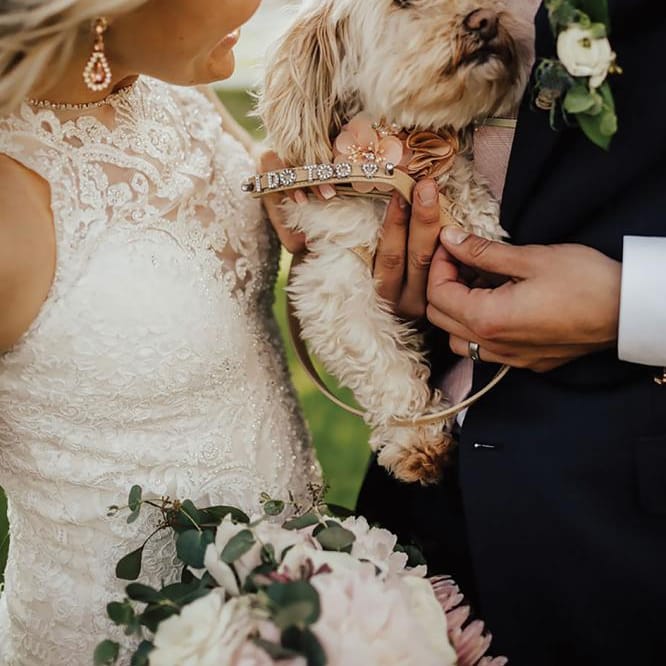 field/sandboxmnbridecom239elwb01blackmeshcom/2020/image/thumbnail_ec-portraits-192websize2.jpg