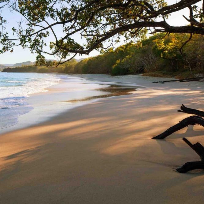 field/sandboxcaliforniaweddingdaycom239elwb01blackmeshcom/2021/image/Playa Conchal.jpg
