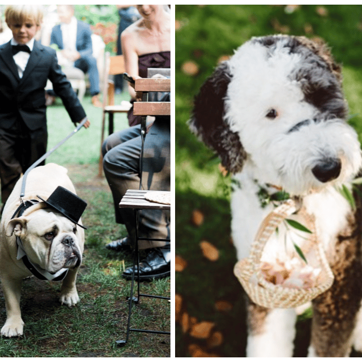 Photos by Jennifer Tai and Karissa Roe