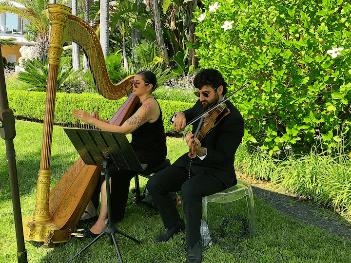 2026-09/Gracie_Harp_Violin.png