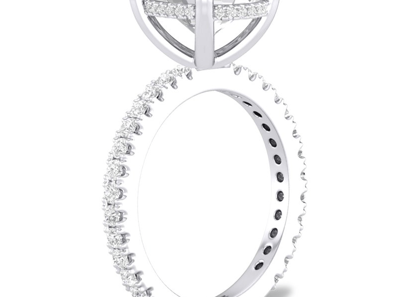 2025-11/14K-White-Gold-Hidden-Halo-Engagement-Ring.png