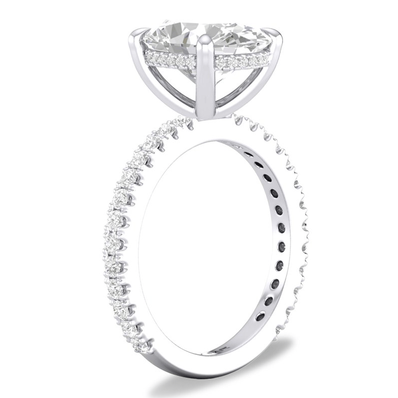 2025-11/14K-White-Gold-Hidden-Halo-Engagement-Ring.png