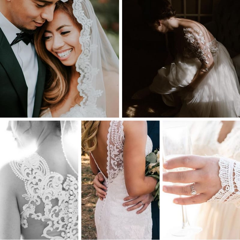 field/wibride_com_239elwb01_blackmesh_com/2018/image/WI 5.11.18.jpg