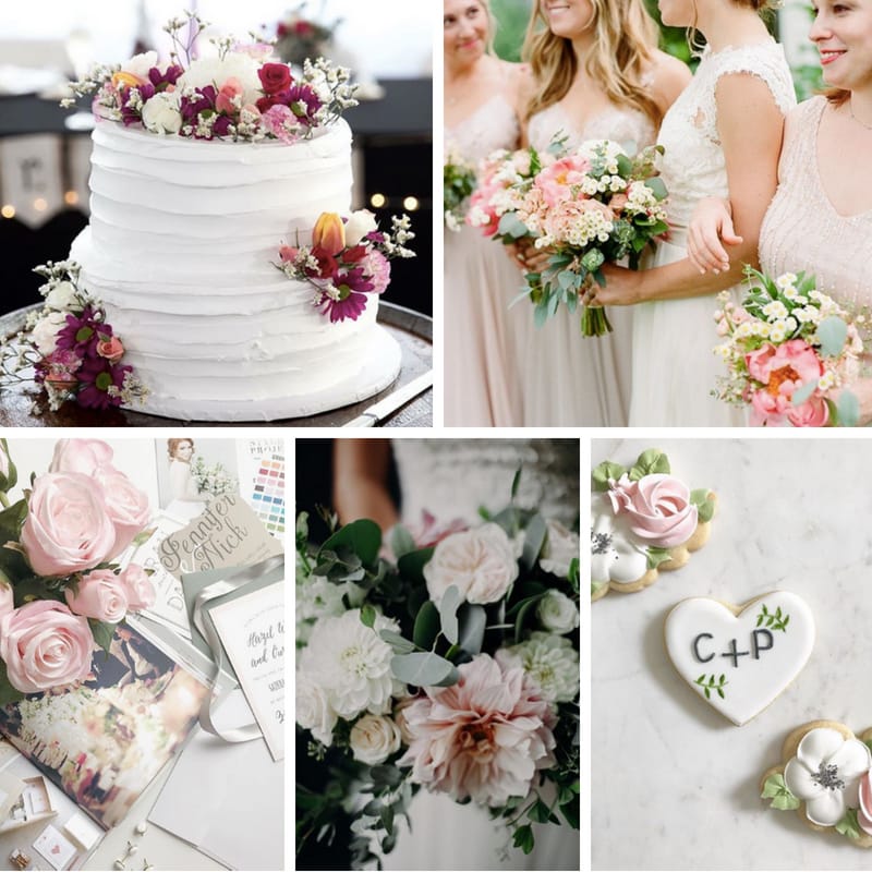 field/wibride_com_239elwb01_blackmesh_com/2018/image/WI 5.25.18.jpg