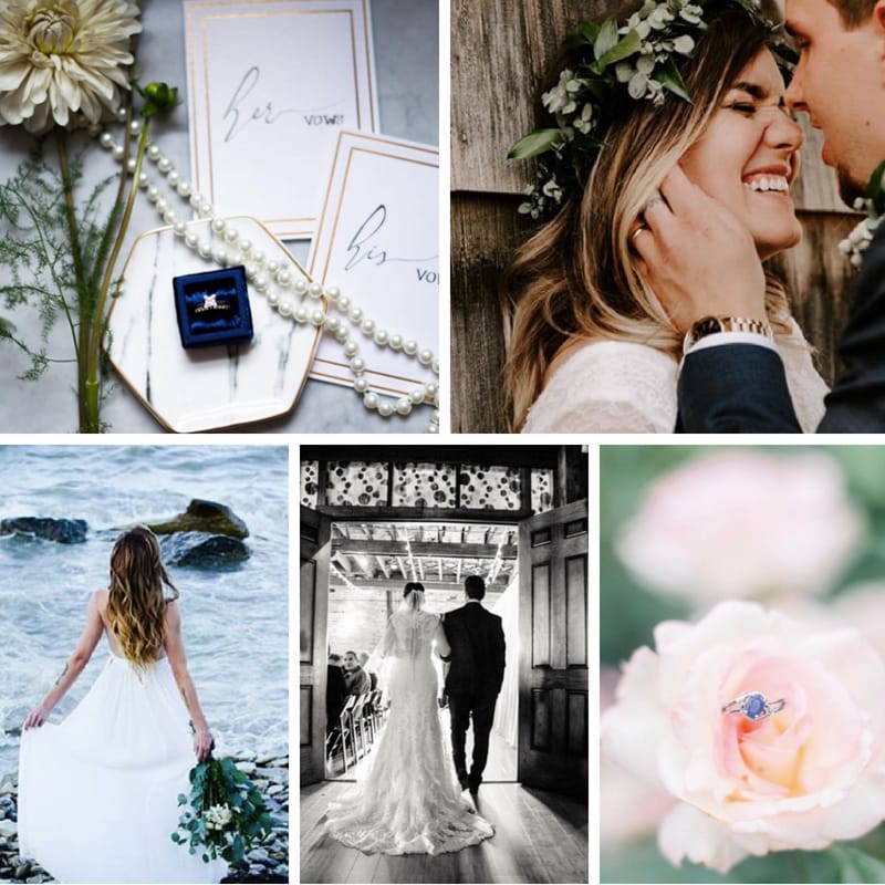 field/wibride_com_239elwb01_blackmesh_com/2018/image/WI 8.10.18.jpg