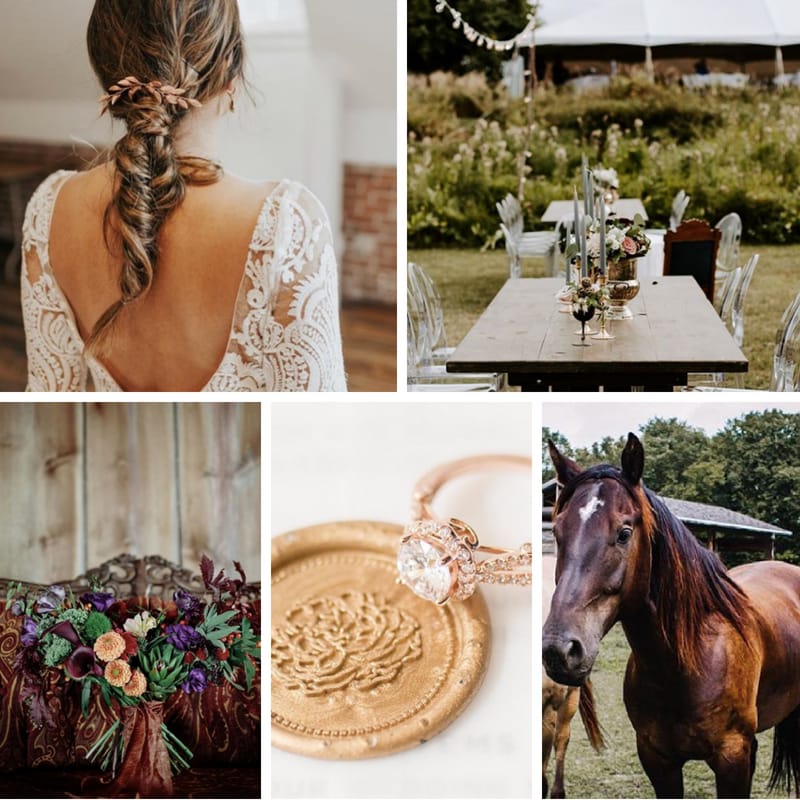 field/wibride_com_239elwb01_blackmesh_com/2018/image/wi 8.31.18.jpg