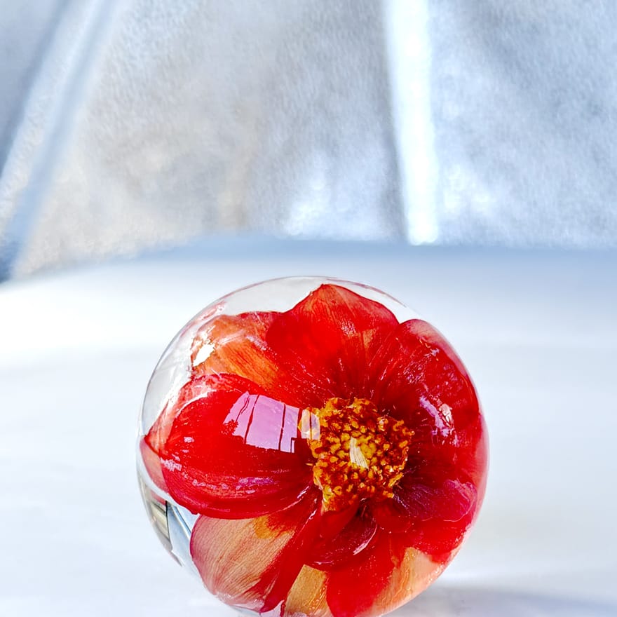 2024-07/mn_ice-mn_bride-directory.jpg