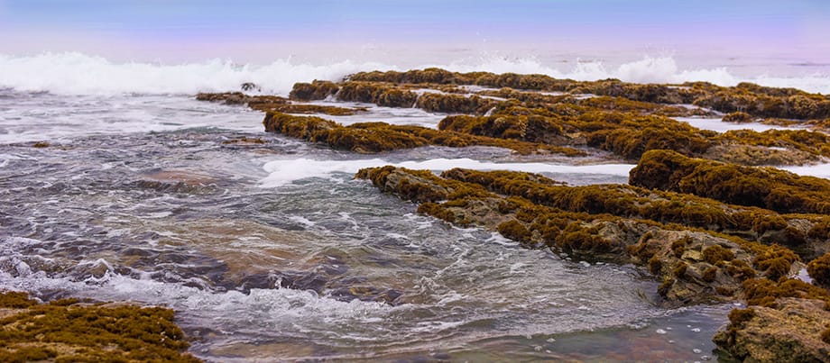 Cliffs_19_11_header.jpg